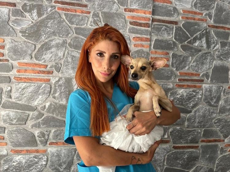 TEDAVİ ETMEDEN BIRAKMAYACAĞIZ