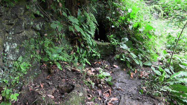 ‘TARİH YENİDEN CANLANIR’