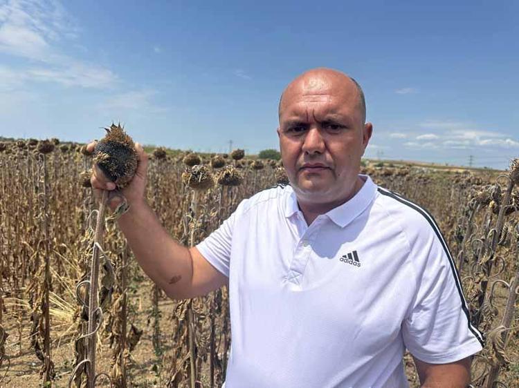 ‘HASAT TARİHLERİ KARIŞTI’