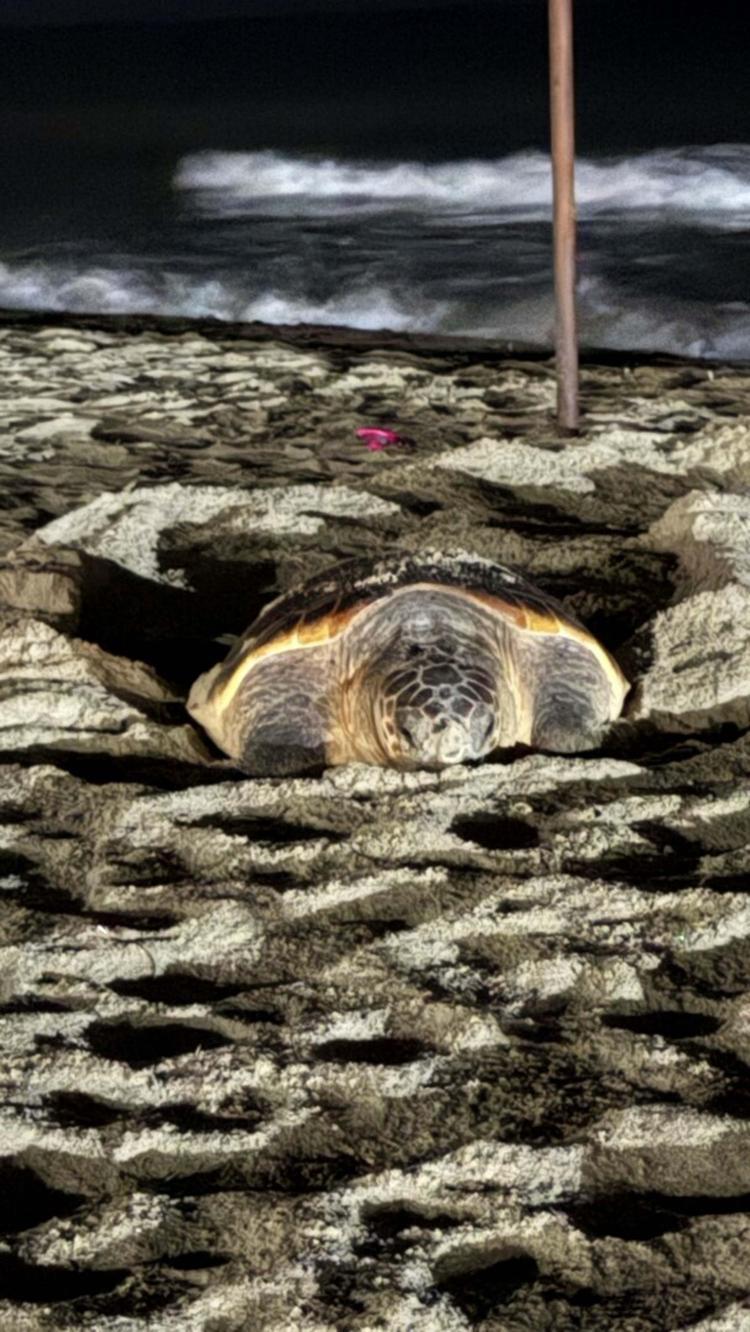 GÖNÜLLÜLER NÖBET TUTACAK