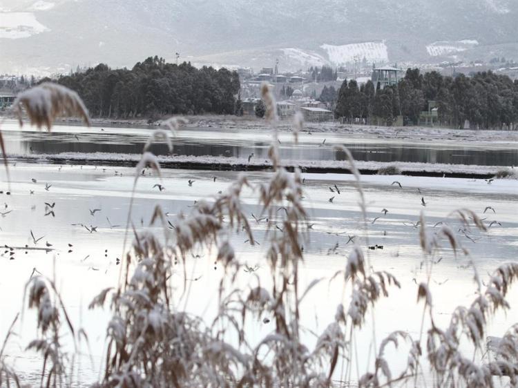 TATLI SU KAYNAĞI OLMADIĞINDAN KUŞ SAYISI AZ