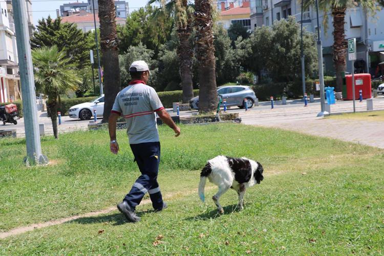 NE DEMEK İSTEDİĞİNİ ANLIYORUM