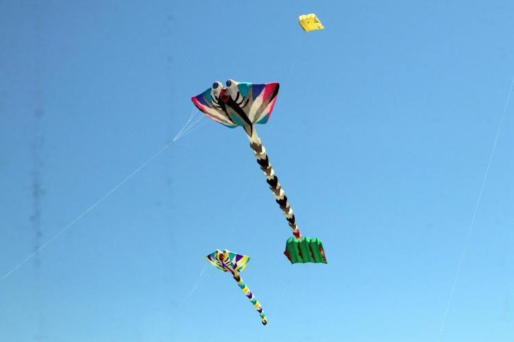 ZİHİNLERE TOHUM EKECEĞİZ