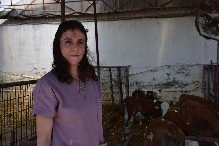 BUZAĞILARA SEVDİKLERİMİN İSİMLERİNİ VERİYORUM