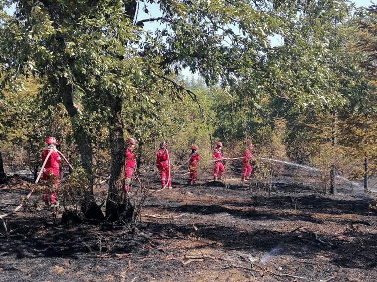 KONTROL ALTINA ALINDI