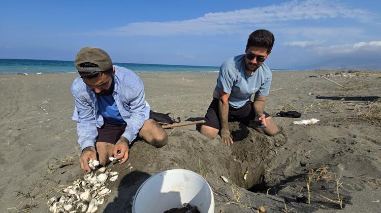 YAVRULARDAN BİNDE 1-5İ ERGİN HALE GELEBİLİYOR