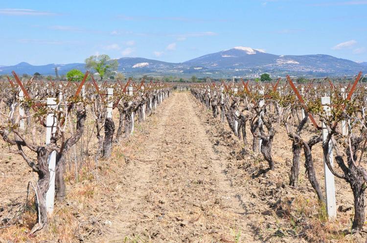 SU KAYNAKLARININ AZALMASI İZMİRDE ÜRETİM DESENLERİNİ DEĞİŞTİRECEK