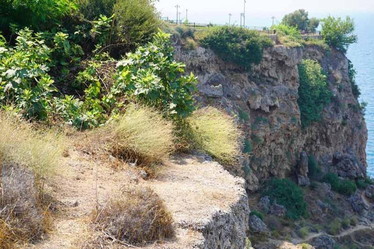 YOK OLUŞA BİR ADIM DAHA YAKLAŞTI