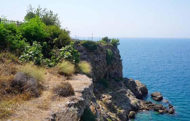 ERMENEK YANGINLARI TÜRÜN YAYILIŞ ALANINI YOK ETTİ