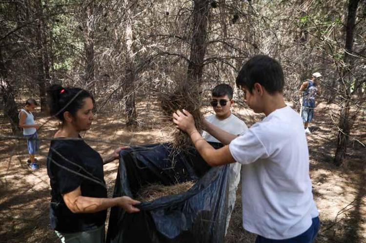 ORMANLARIMIZI TEMİZLİYORUZ