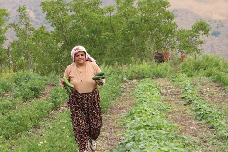 ‘30 YILDA 600 KOVANA ÇIKARDIK’