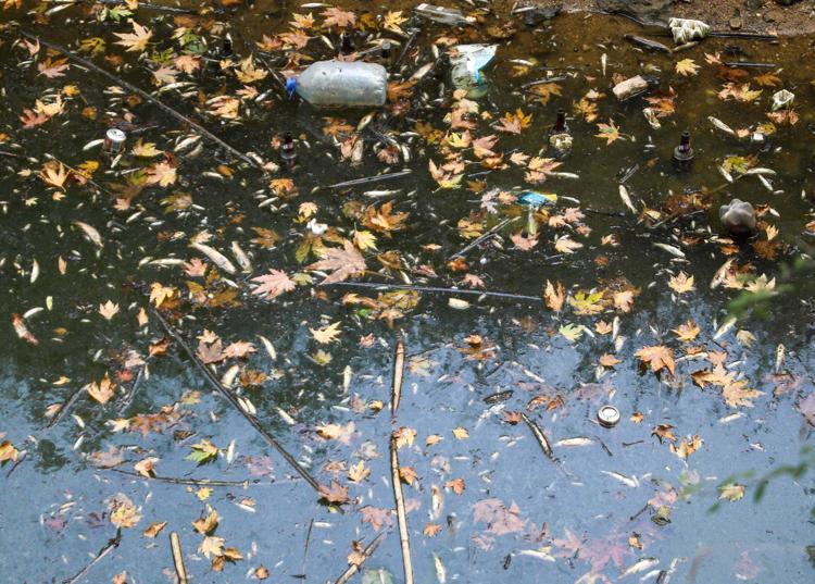 KİRLİLİĞİ YAPANLARA AĞIR CEZALAR VERİLMELİ