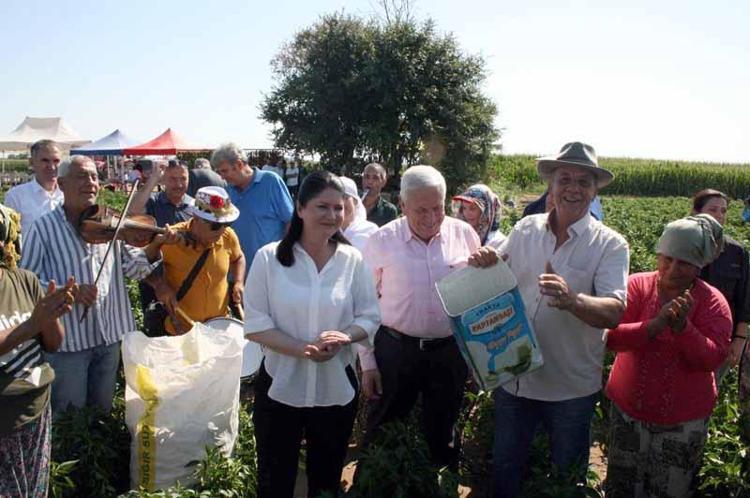 OYNARKEN BİBER TOPLUYORUZ