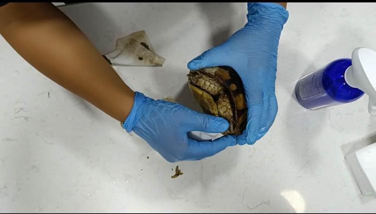 ‘GELDİĞİ GÜNDEN BERİ ÇOK TEDİRGİN’