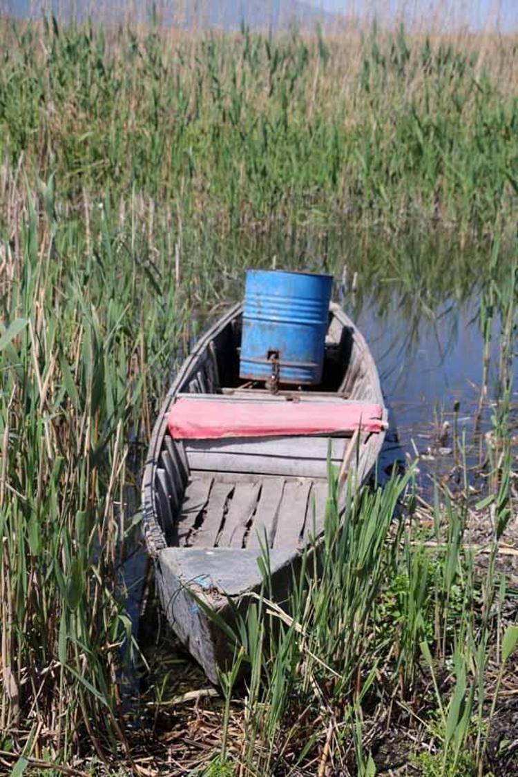 2,5- 3 YIL SONRA KURUYABİLİR