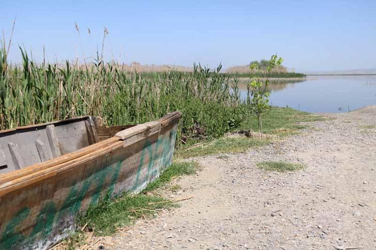 KORUMA ALTINDAKİ 8 GÖL ARASINDA