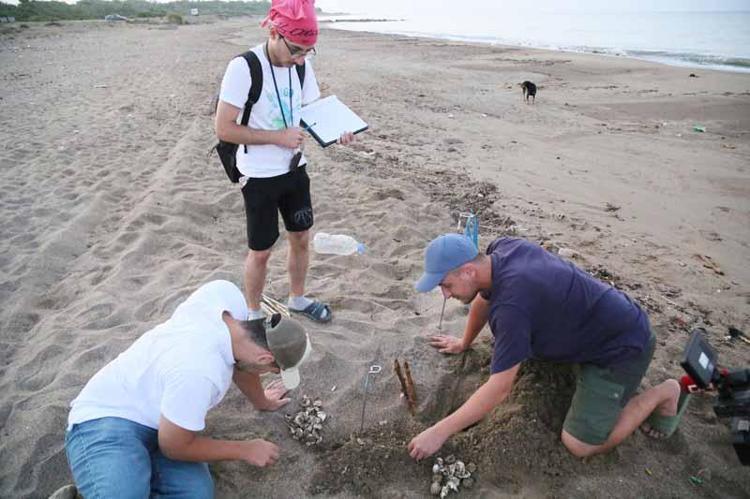 OTELLERİN IŞIK SORUNU