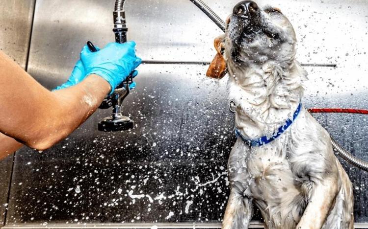 ‘İÇME SULARINA BUZ EKLENEBİLİR’