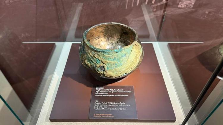 DÜNYADA SAYILI, TÜRKİYEDE TEK ÖRNEKLER