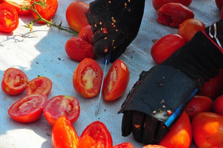 FİYAT BEKLENTİMİZ YÜKSEK