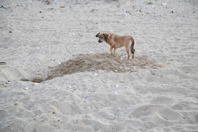 HER YUVAYI KONTROL ETMEMİZ MÜMKÜN DEĞİL