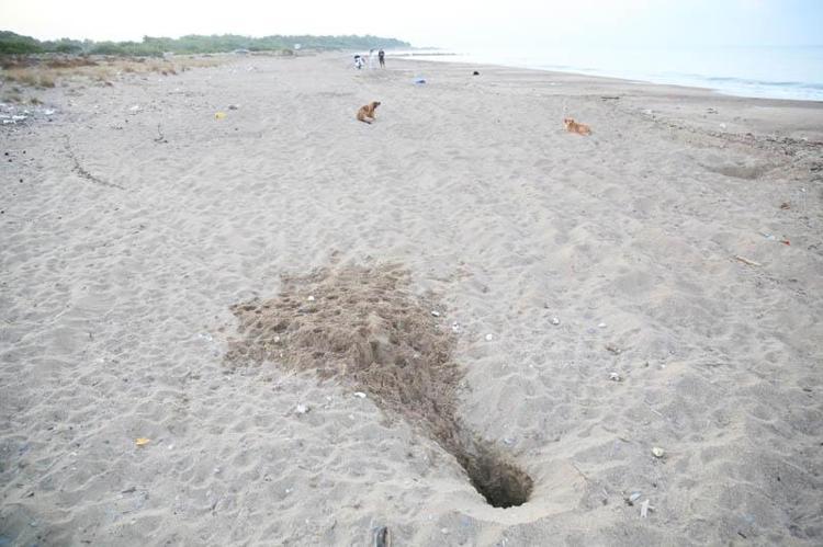 YUVALARA VE YUMURTALARA ZARAR VERİYOR