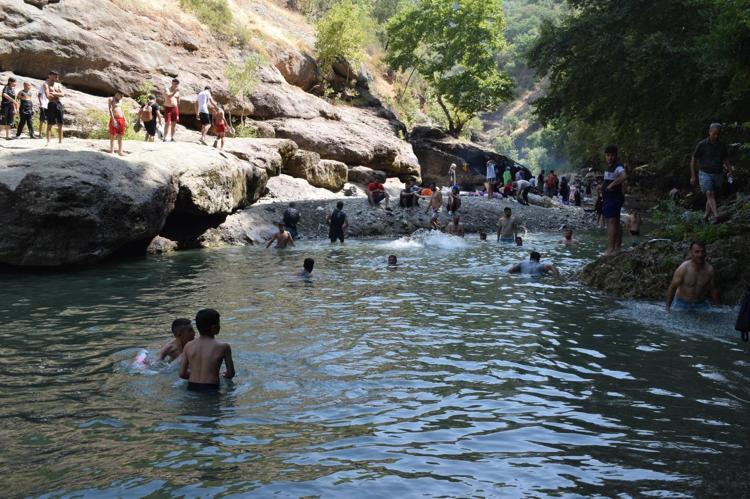 ‘100-200 YILLIK ÇINAR AĞAÇLARI VAR’