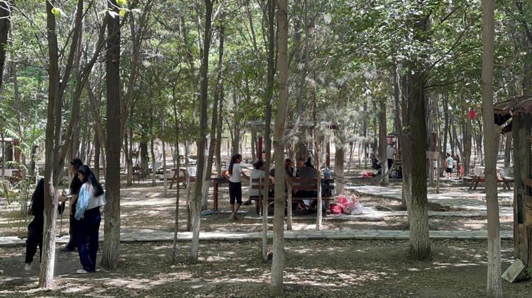 ÜCRETSİZ PİKNİK KAMPANYASINI BEĞENDİK