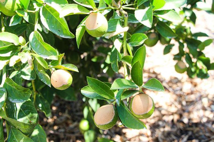 CİDDİ BİR DÜŞÜŞ SÖZ KONUSU