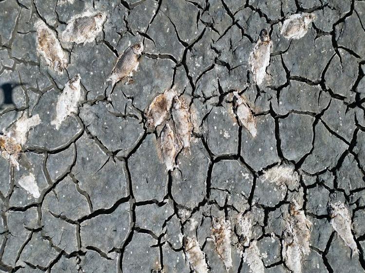 GÖL KURUMAYA BAŞLADI