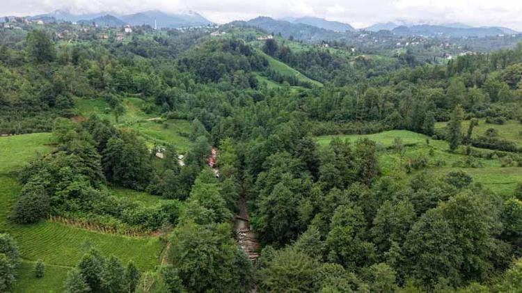 YÖREYE ÖZGÜ LEZZETLER