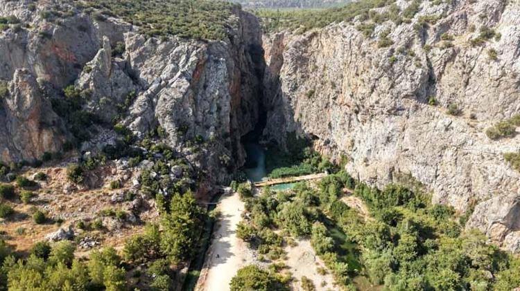 YENGEÇTEN KAPLUMBAĞAYA CANLI YAŞAMI TEHDİT ALTINDA