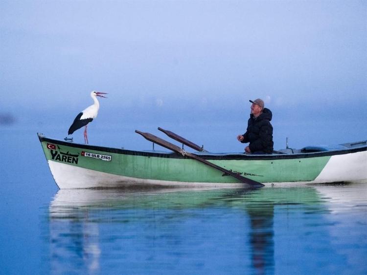 MİLLİ PARKLAR SOSYAL MEDYA HESABINDAN PAYLAŞTI