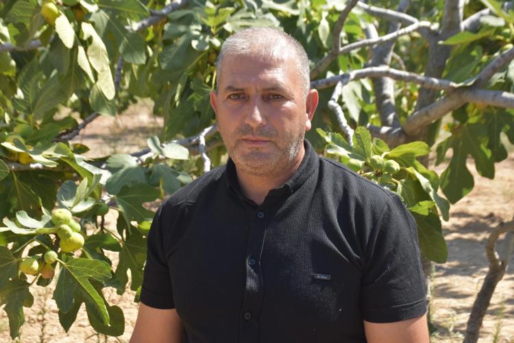 KEREVET AFLATOKSİN VE OKRATOKSİN OLUŞUMUNU ENGELLİYOR