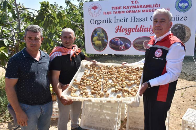 HASAT ETTİĞİ ÜRÜNLERİ KEREVETLERDE KURUTACAKLAR