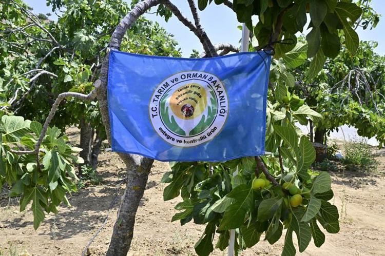 PROJE İZMİRDE FİLİZLENDİ