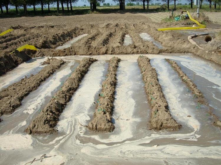 TOPRAK İŞLEME YÖNTEMİNİ DEĞİŞTİRMEK SON DERECE ÖNEMLİ