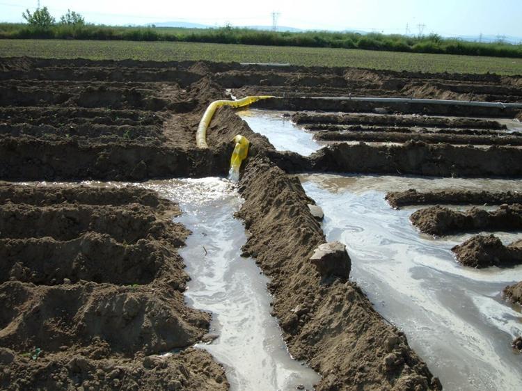 KURAKLIKTA EN ÖNEMLİ YÖNETİM, TOPRAK NEMİNİN KORUNMASI