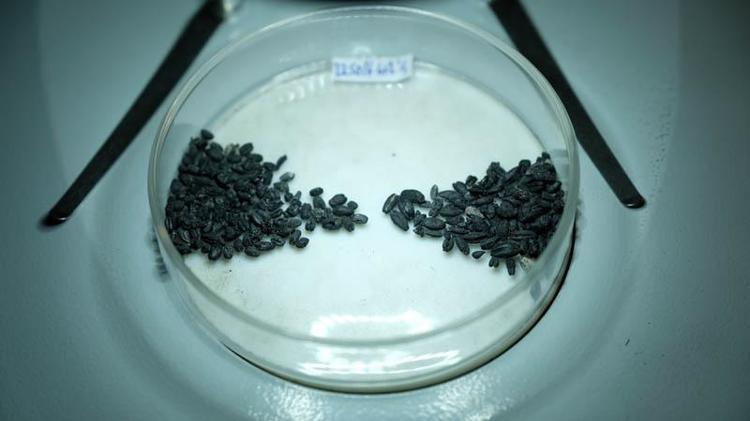 ‘HİTİT KRALLIĞININ İKİNCİ BAŞKENTİ OLDUĞUNU DÜŞÜNÜYORUZ’