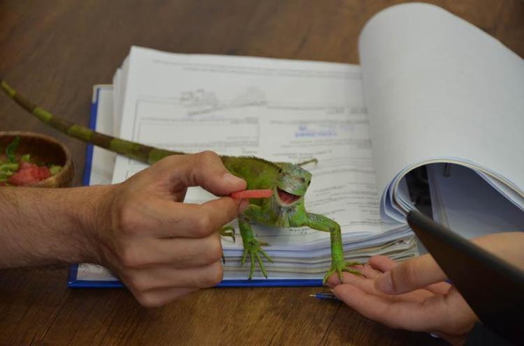 ‘BİRLİKTE KARPUZ YİYORUZ’