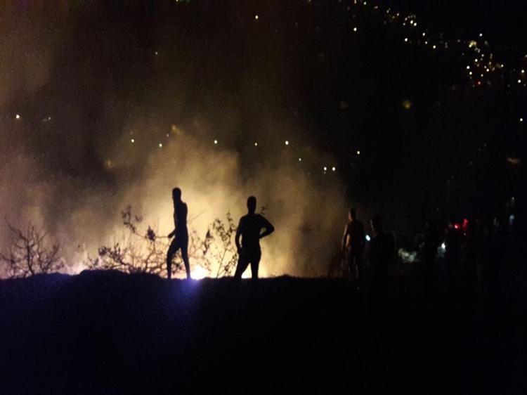 ‘23 MİLYON HEKTAR ORMAN ALANIMIZ VAR’