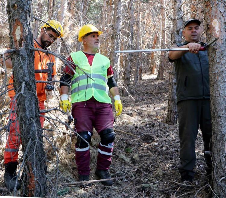 RİSK EN YÜKSEK SEVİYEDE