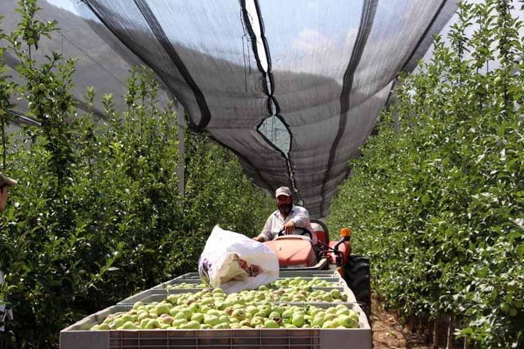 KENDİMİZE YETEBİLECEK DURUMDAYIZ