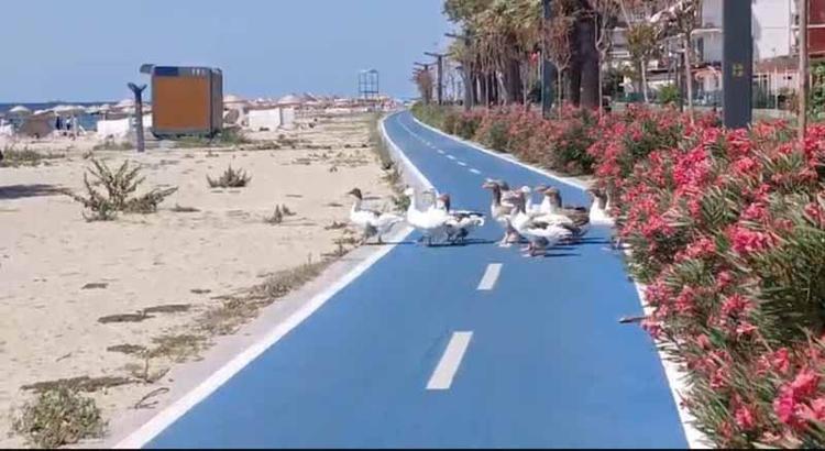 ‘BİZ ONLARIN DOĞASINI KİRLETİYORUZ’