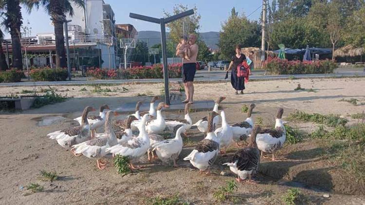 1 AY KÜMESTE KALDILAR