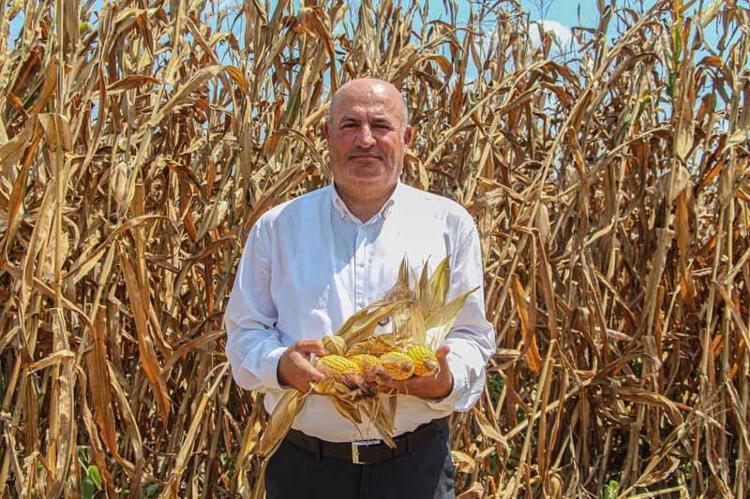 MISIRIN EKİM SAHASI DAHA DA ARTMALI