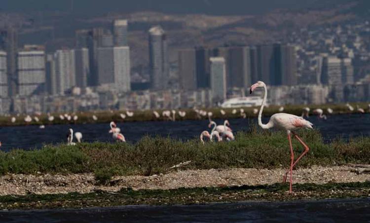 TURLARA YILDA YAKLAŞIK 7 BİN KİŞİ KATILIYOR