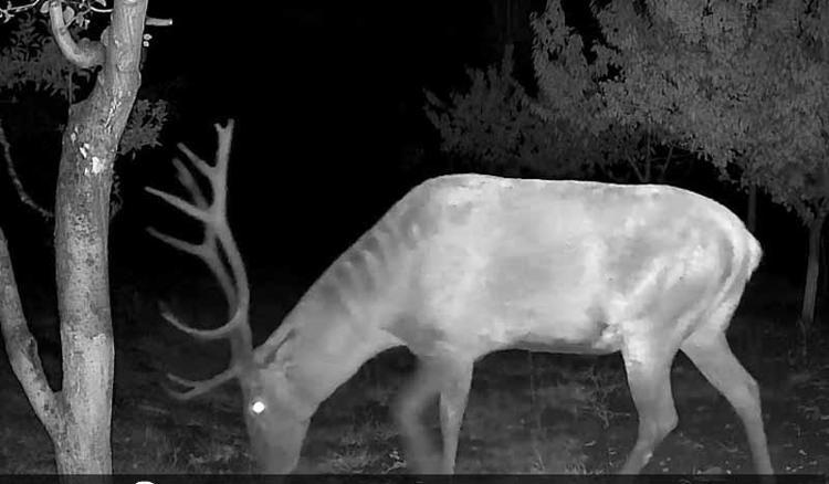 ‘ACI BİBERİ BİLE YİYOR’