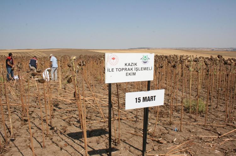 DOĞRUDAN ANIZA EKİME GEÇİLMELİ