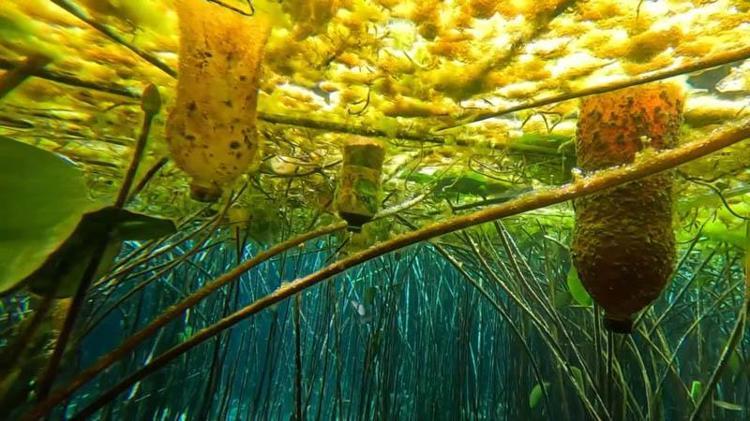 ANTALYAYI ANTALYA YAPAN YERLERDEN BİRİ